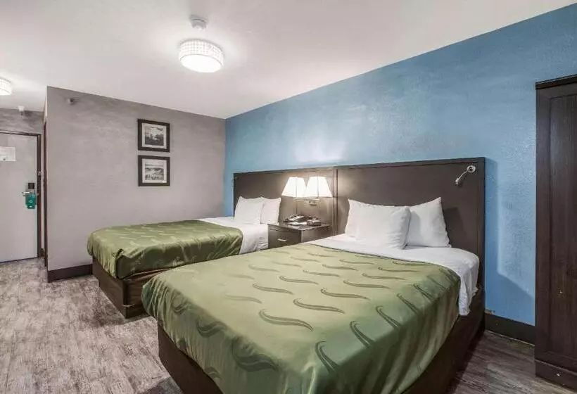 اتاق استاندارد با 2 تخت دوبل, Quality Inn Atlanta Airport Central