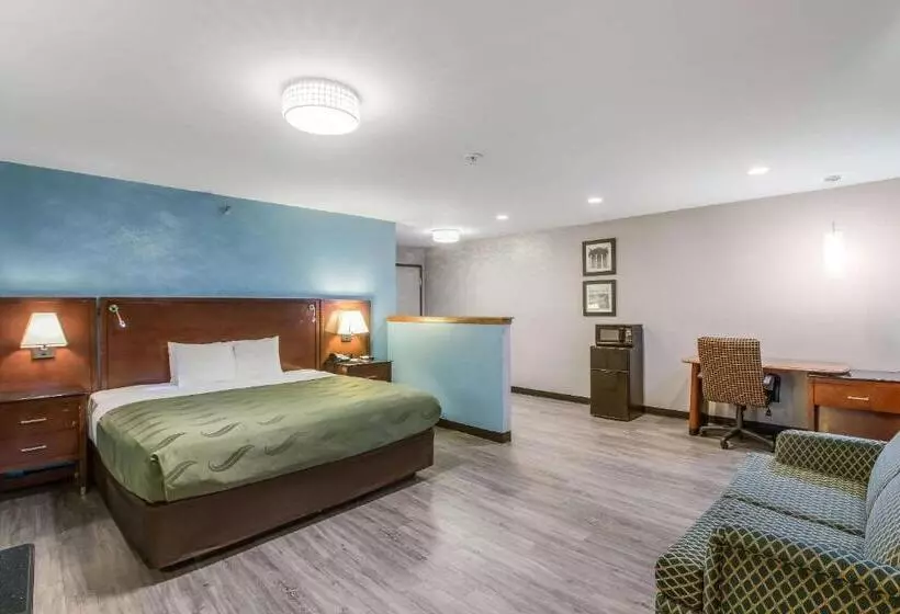 سوئیت با تخت بزرگ, Quality Inn Atlanta Airport Central