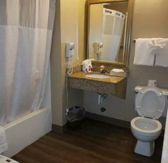 اتاق استاندارد با تخت بزرگ برای معلولان, Super 8 By Wyndham Milwaukee Airport