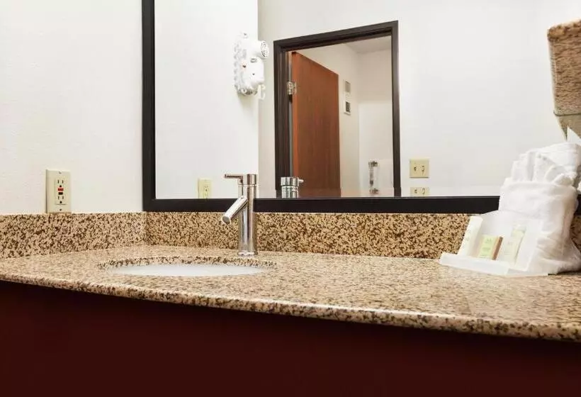 اتاق استاندارد با تخت بزرگ, Super 8 By Wyndham Milwaukee Airport