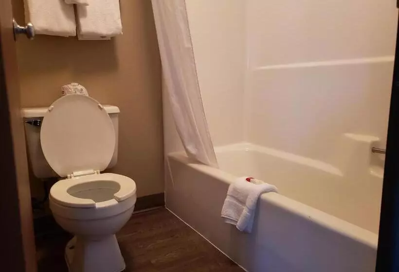 اتاق استاندارد با تخت بزرگ, Super 8 By Wyndham Milwaukee Airport