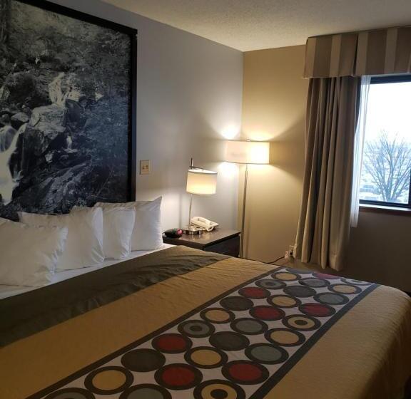 اتاق استاندارد با تخت بزرگ, Super 8 By Wyndham Milwaukee Airport
