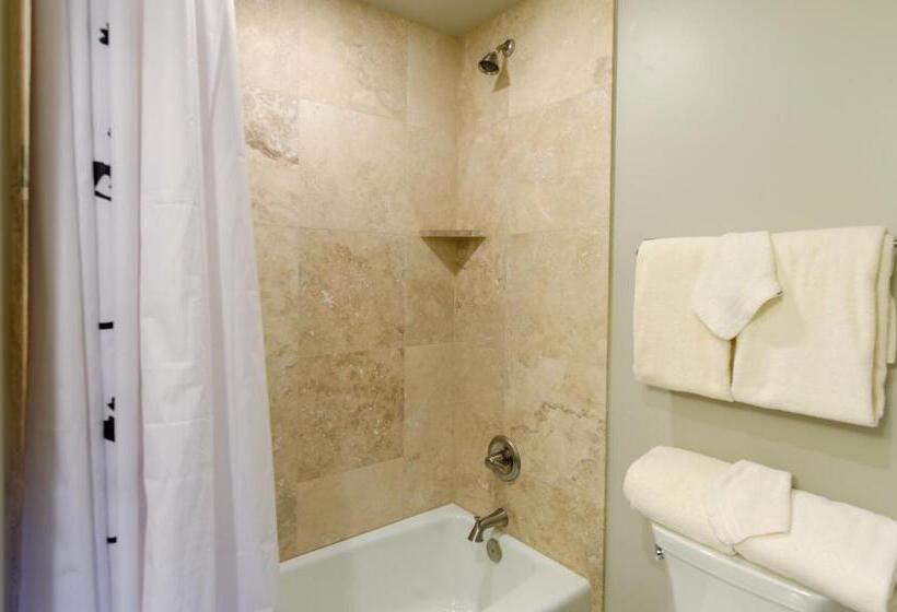 3침실 프리미엄 아파트, The Crestwood Snowmass Village