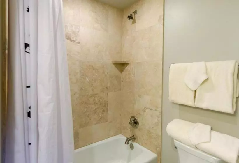3 Bedroom Premium Apartment, The Crestwood Snowmass Village