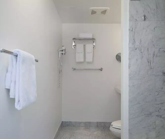 キングサイズベッドのスタンダードルーム, Warwick Allerton  Chicago