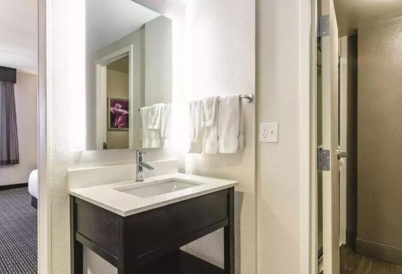 اتاق لوکس با تخت بزرگ, La Quinta By Wyndham Warwick Providence Airport