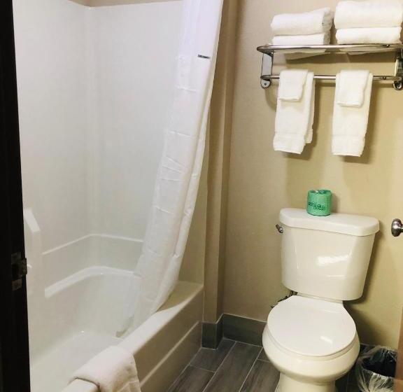 带大床的复式套间, Baymont By Wyndham Joliet