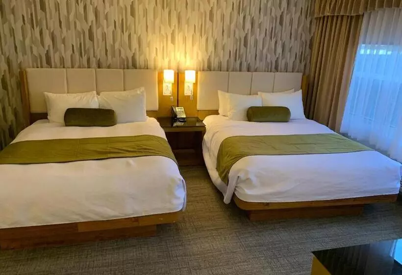 スタンダードスタジオ, Split Rock Resort