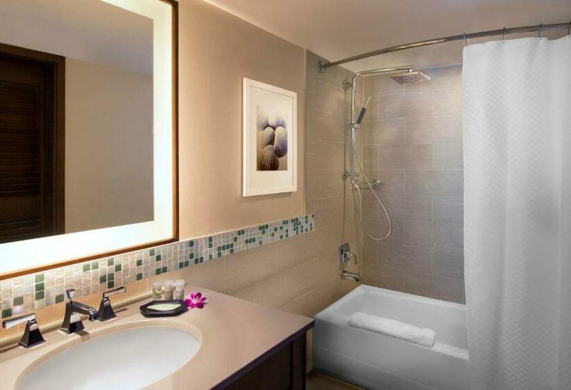 带2个双人床的标准工作室, The Westin Fort Lauderdale Beach Resort