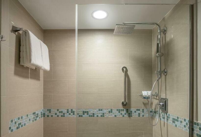 带大床的套房, The Westin Fort Lauderdale Beach Resort