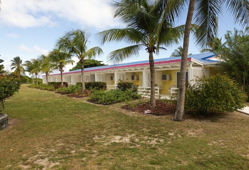 Номер Стандарт Вид на Сад, Anegada Reef