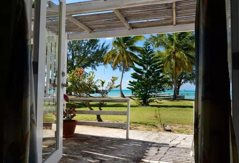 キングサイズベッドのスタンダードルーム, Anegada Reef