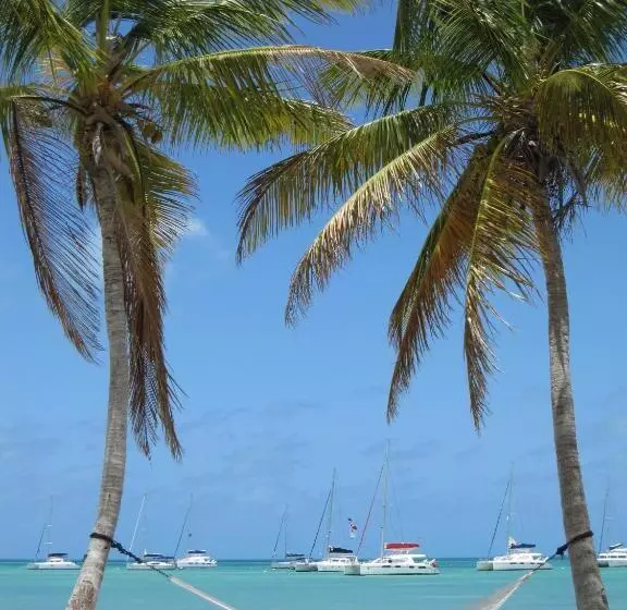 ガーデンビュースタンダードルーム, Anegada Reef