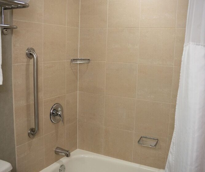 חדר סטנדרט שתי מיטות זוגיות, Delta Hotels By Marriott Toledo