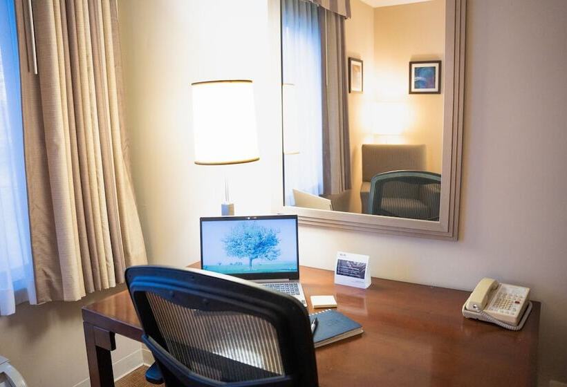 חדר סטנדרט שתי מיטות זוגיות, Delta Hotels By Marriott Toledo