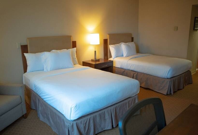 חדר סטנדרט שתי מיטות זוגיות, Delta Hotels By Marriott Toledo