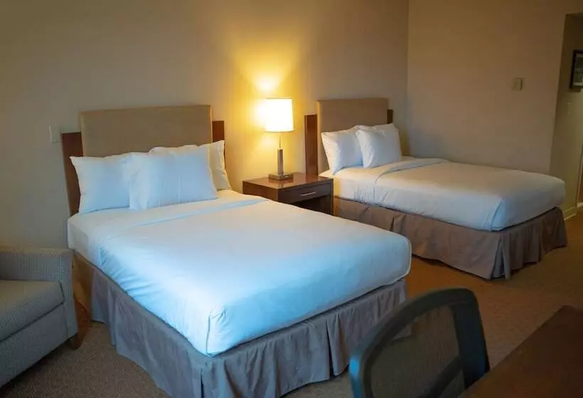 ２ダブルベッドのスタンダードルーム, Delta Hotels By Marriott Toledo