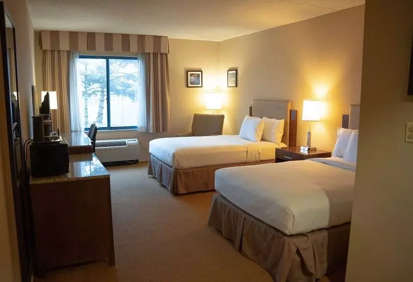 ２ダブルベッドのスタンダードルーム, Delta Hotels By Marriott Toledo