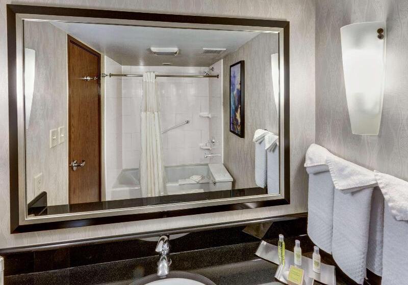 キングサイズベッドのスタンダードルーム, Doubletree By Hilton Hotel Wichita Airport