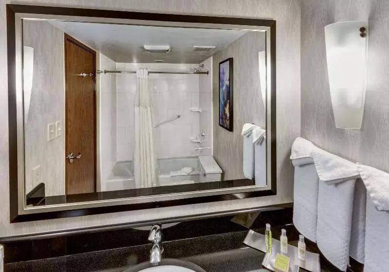 اتاق استاندارد با تخت بزرگ, Doubletree By Hilton Hotel Wichita Airport