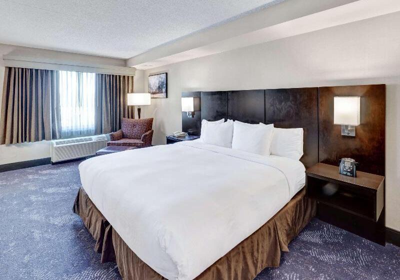 Стандартный Номер Кровать Кинг, Doubletree By Hilton Hotel Wichita Airport
