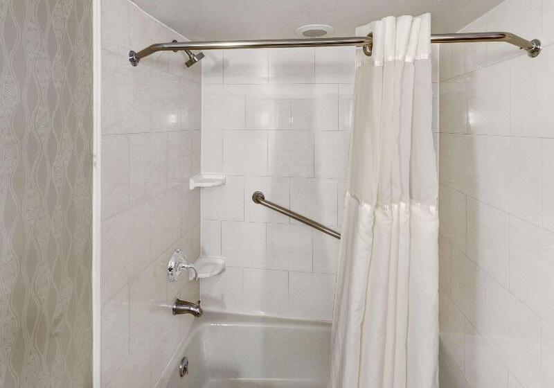 キングサイズベッドのスタンダードルーム, Doubletree By Hilton Hotel Wichita Airport