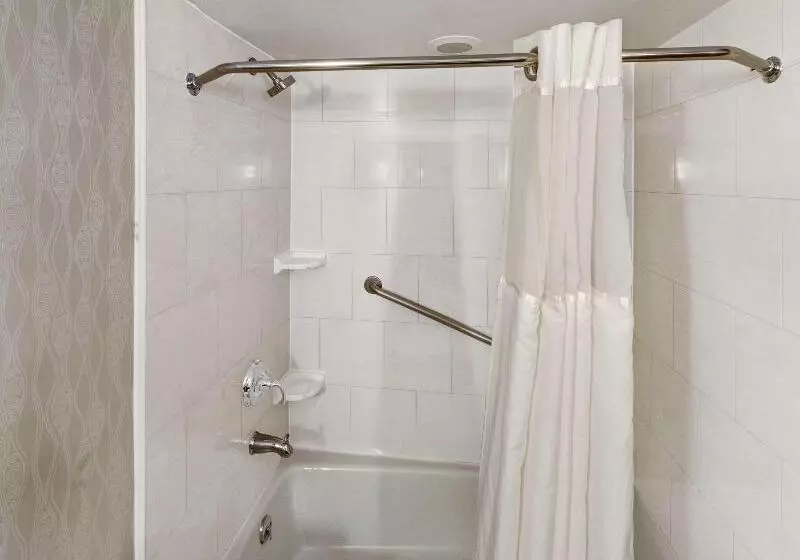 اتاق استاندارد با تخت بزرگ, Doubletree By Hilton Hotel Wichita Airport