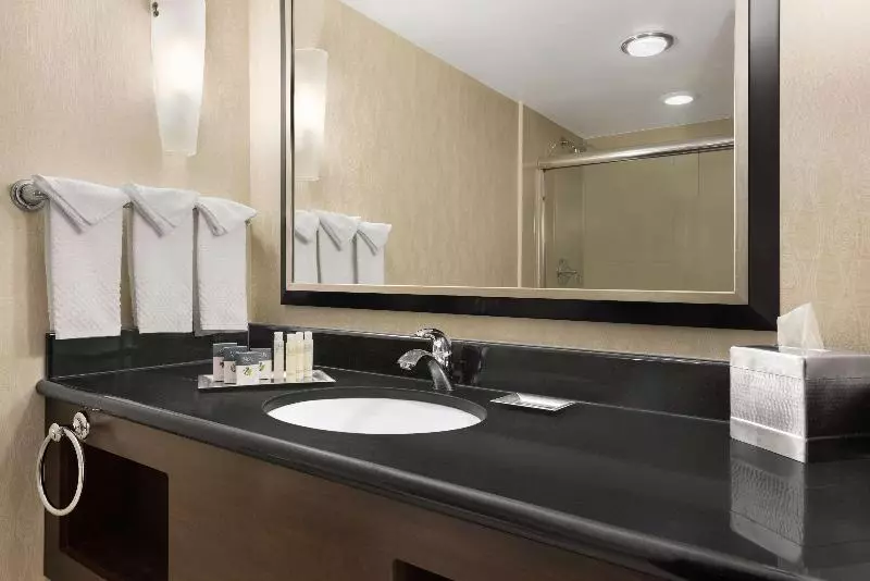 اتاق استاندارد با تخت بزرگ, Doubletree By Hilton Hotel Wichita Airport