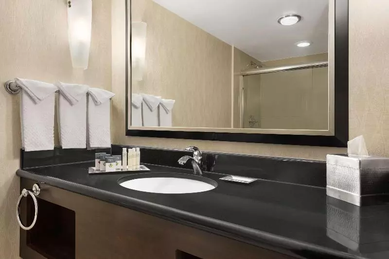 اتاق استاندارد با تخت بزرگ, Doubletree By Hilton Hotel Wichita Airport