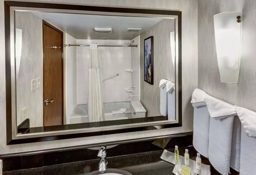 سوییت جونیور, Doubletree By Hilton Hotel Wichita Airport