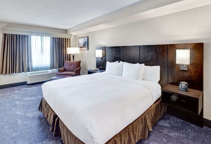 Полулюкс, Doubletree By Hilton Hotel Wichita Airport