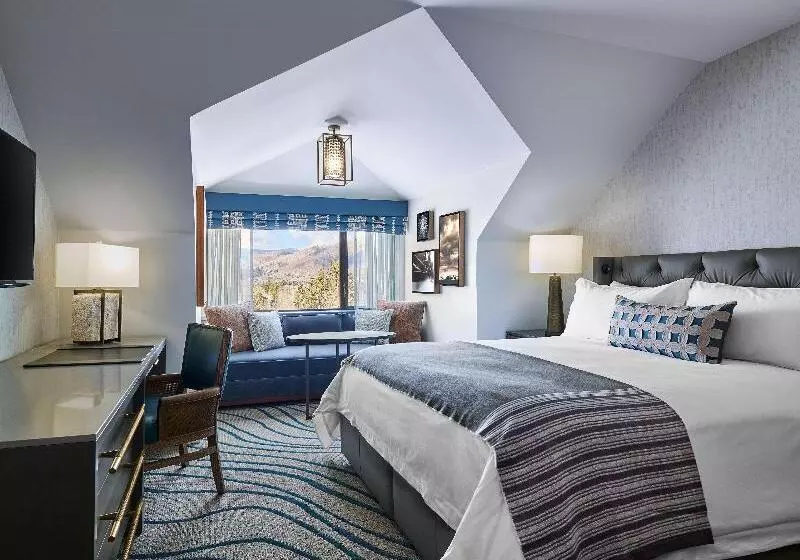 اتاق استاندارد با تخت بزرگ, Grand Hyatt Vail