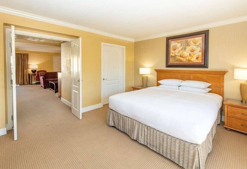 سوییت, Hilton Phoenix Resort At The Peak