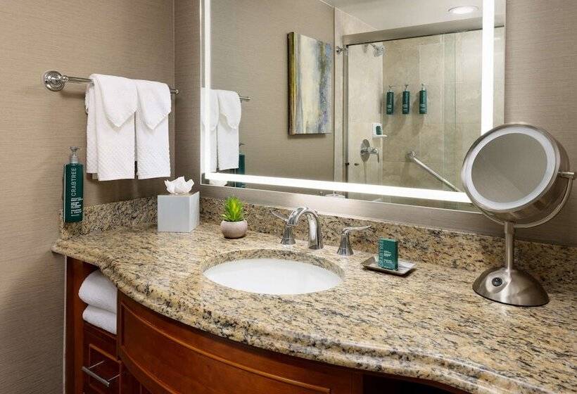 اتاق اجرایی, Hilton Tucson East