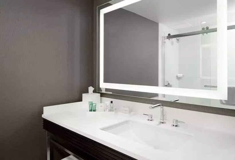 身障者適用キングサイズベッドルーム, Hilton Woodland Hills / Los Angeles