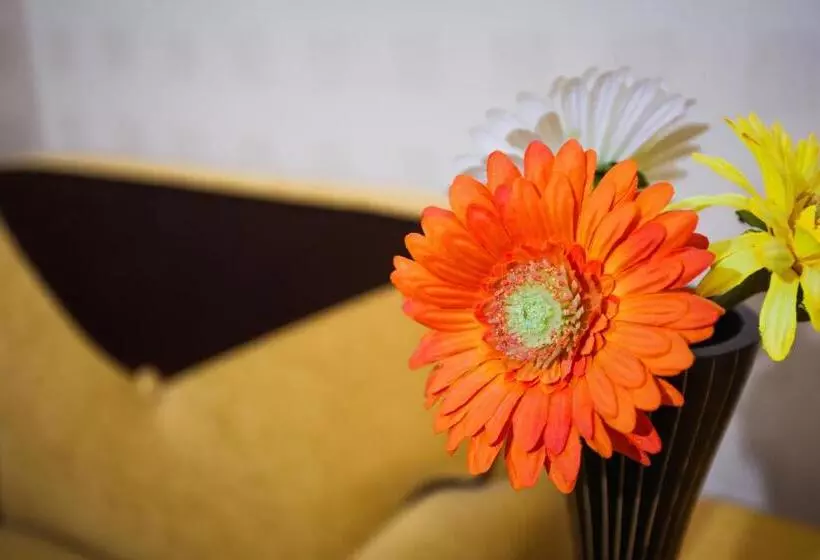 اتاق استاندارد, Menlo Park Inn