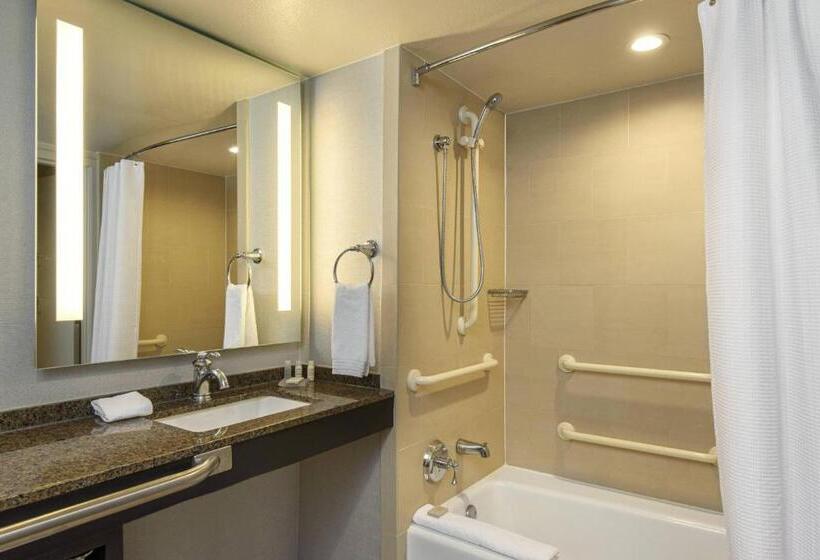 اتاق استاندارد با تخت بزرگ, Renaissance Palm Springs