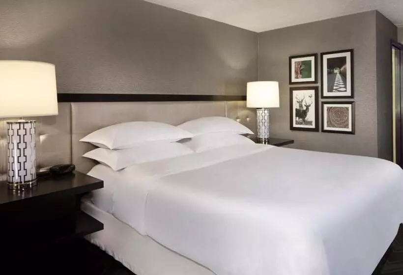 キングサイズベッドのスタンダードルーム, Sheraton Bucks County Langhorne