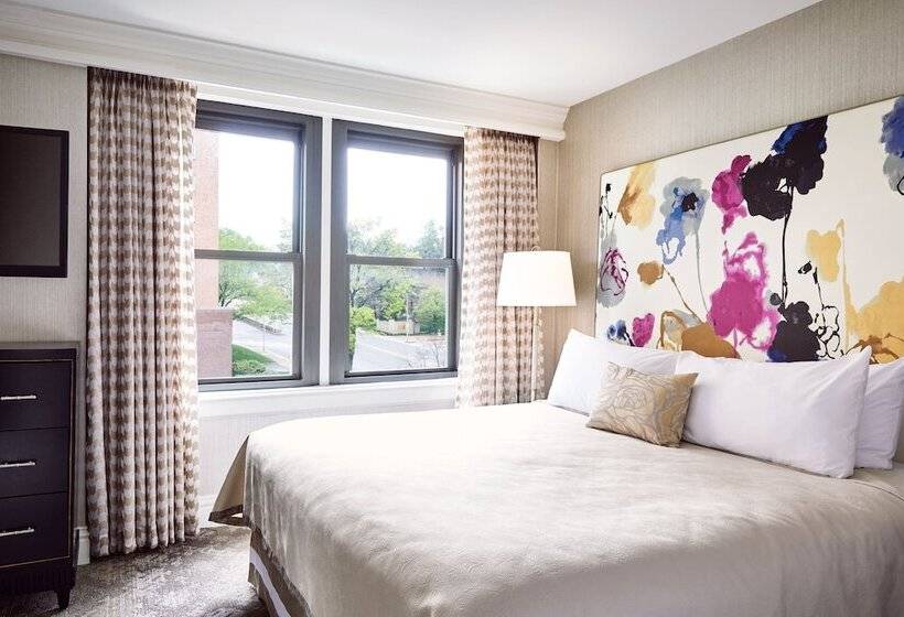 إستوديو قياسى سرير مزدوج, The Raphael Hotel, Autograph Collection