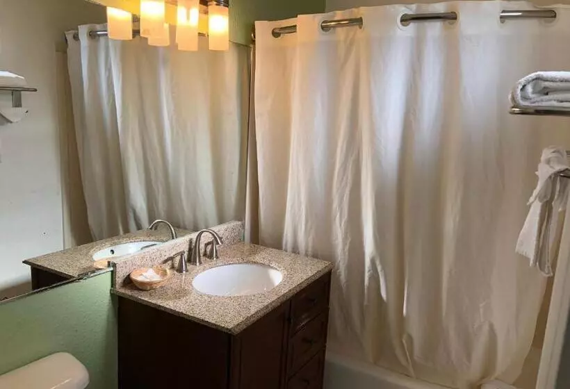 سوئیت دلوکس 2 خوابه, American Inn & Suites Lax