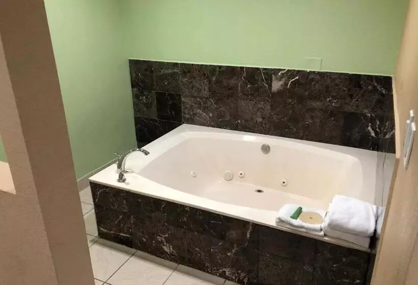 سوئیت دلوکس 2 خوابه, American Inn & Suites Lax