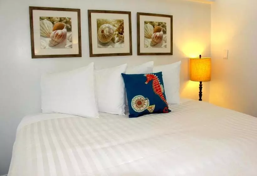 استودیوی استاندارد با چشم‌انداز دریا, Sea Horse Resort