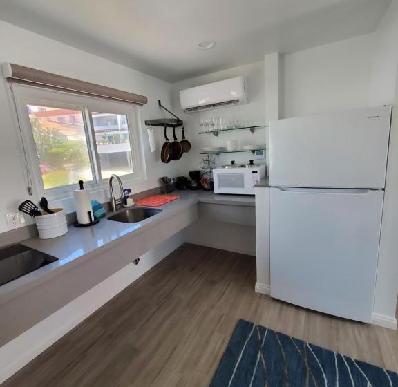 جناح ذو إطلالة, Sea Horse Resort