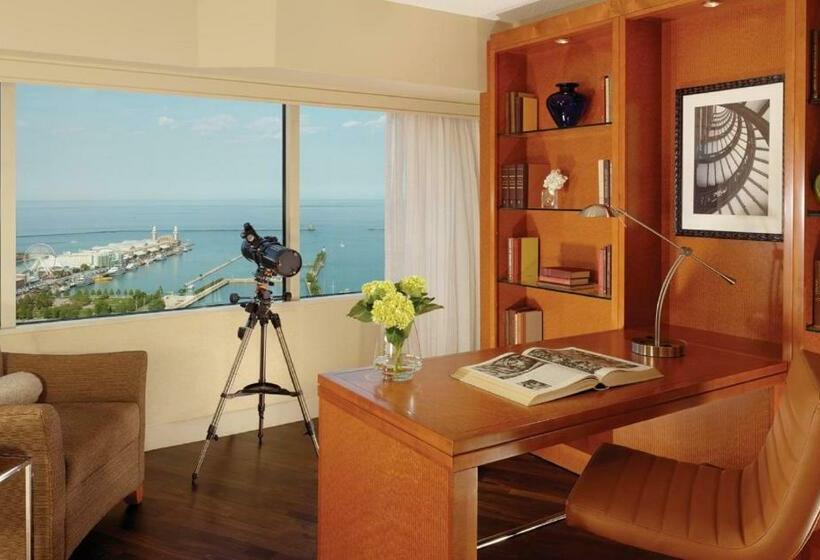 جناح إدارى سرير كينج, Swissôtel Chicago