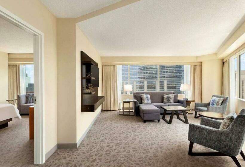 جناح سرير كينج, Swissôtel Chicago
