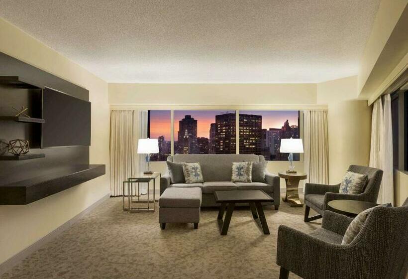 جناح سرير كينج, Swissôtel Chicago