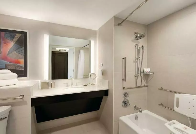 身障者適用キングサイズベッドルーム, Swissôtel Chicago