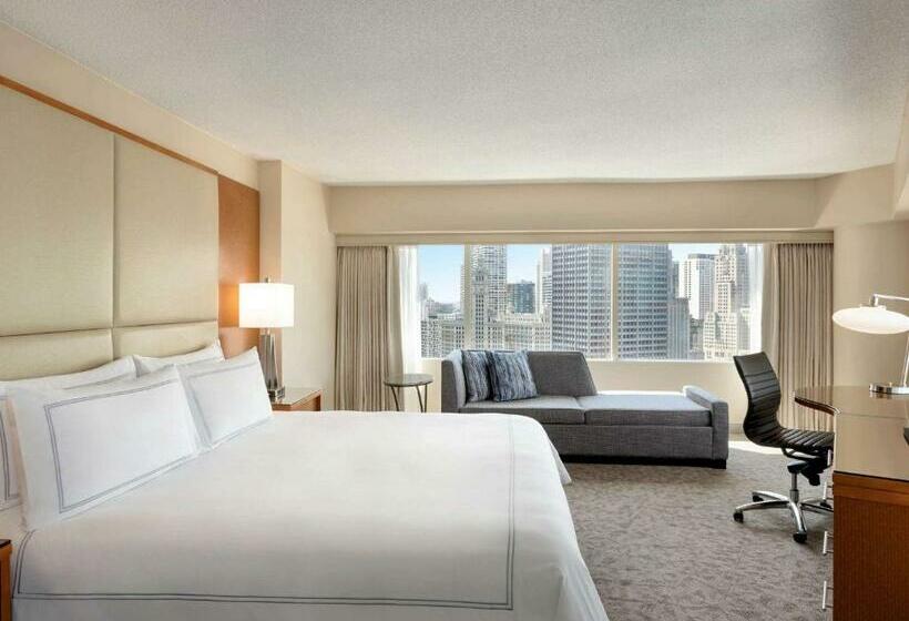 غرفة قياسية سرير كينج لذوى الإحتياجات الخاصة, Swissôtel Chicago