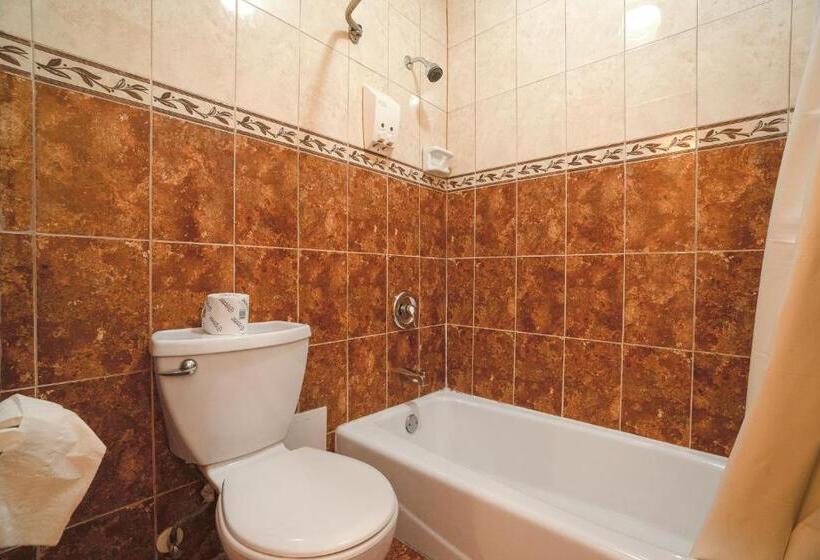 스탠다드 룸 퀸사이즈 침대, Vali-ho Motel