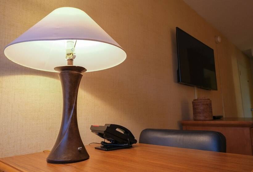 스탠다드 도시전망 룸, Waikiki Resort